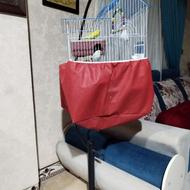 فروش جفت مرغ عشق با قفس و لوازم