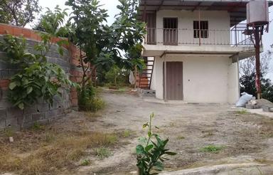 زمین کشاورزی