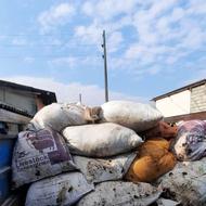 کود گوسفندی