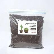 خاک مخصوص کاکتوس وساکولنت انواع گل،گیاه