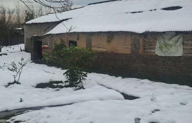 زمین مسکونی