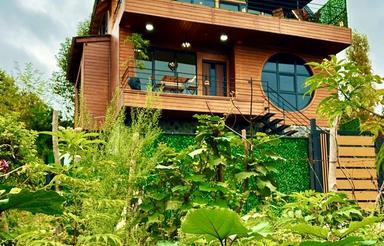 کلبه چوبی استخردار ماهسو در دل جنگل