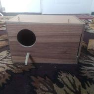 لانه عروس هلندی