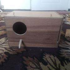 لانه عروس هلندی