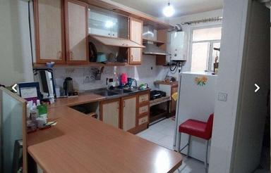 همخونه خانم