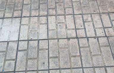 همخونه میشم