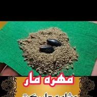 مهره مار اصل برنجی طلا