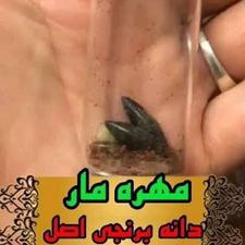 مهره مار اصل برنجی طلا