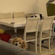 میز نهارخوری