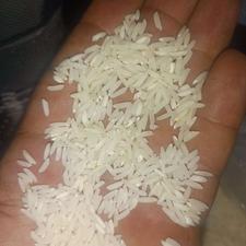 برنج دوکشت و دونج