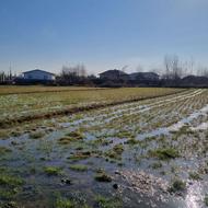 6000 متر زمین کشاورزی سنتی در خلخالیان پره سر