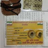 مهره مار اصل پایتون افریقایی