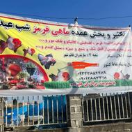 ماهی تنگ ماهی ماهی قرمز برادران علیزاده