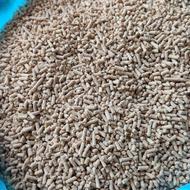 غذا مرغ دان مرغ سفید موجود تخم گذار