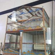 قفس ستایی سهره و فناری عطیقه ریز بافت مهره بافت