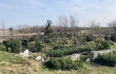 240متر/مسکونی/سنددار/دو بر