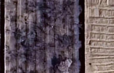 2000 متر چهار دیواری قدیمی قطعه بندی شده