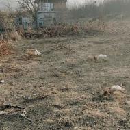 337 متر زمین محدوده