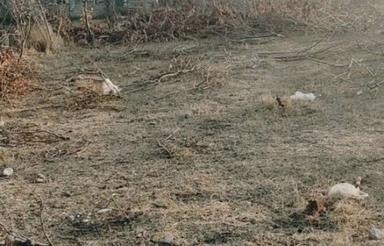 337 متر زمین محدوده