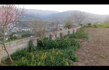 فروش 1200 زمین زراعی