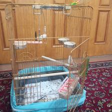 2 مدل قفس بزرگ