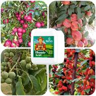 کود ارگانیک بدون ذره ای مواد شیمایی