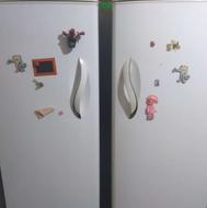 یخچال فریزر دوقولو برند امرسان