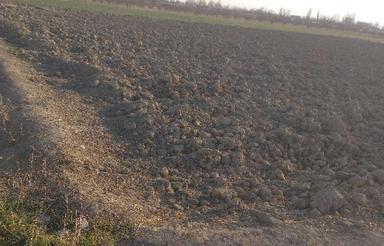 فروشی زمین کشاورزی