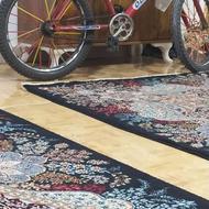 دوچرخه سالم