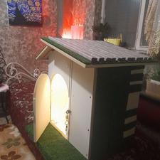 لانه چوبی سگ