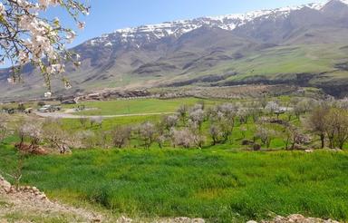 زمین گلخانه