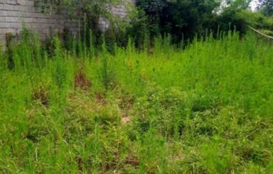 فروش زمین مسکونی در تالش