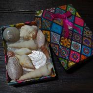 پک هدیه صدفی از دریای جنوب