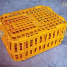 23عددقفس مرغ زنده