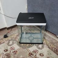 آکواریوم شرکتی