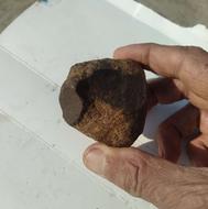 شهابسنگ مریخی