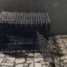 قفسه آهنی مرغ یابلدرچین