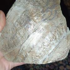 سنگ مشکوک به شهاب سنگ