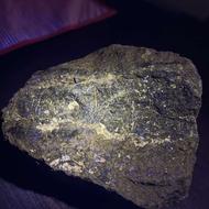 این سگ رو پیدا کردم نمیدونم چیه