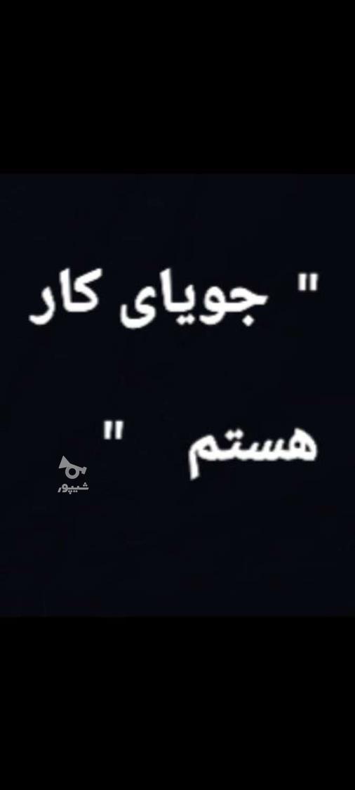 جویای کار هستم - undefined