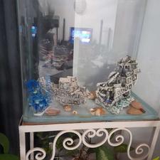 آکواریوم به همراه پایه.تخفیف جزئی