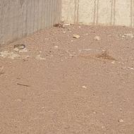 شراکت یا سرمایه گذاری