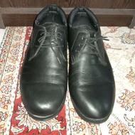 کفش رسمی مجلسی کاملاً نو