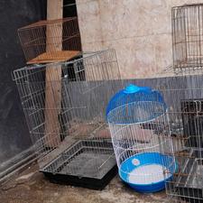 قفس پرندگان