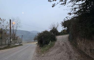 باغ نارنگی به مساحت 1845 متر کنتر برق دارد،