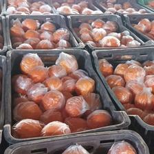 پرتقال تامسون انباری 20 تن