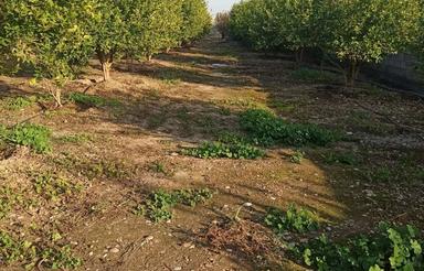 فروش فروش فروش