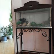 اکواریوم دکوراتیو خاص و چشمنواز – فول ست و آماده استفاده