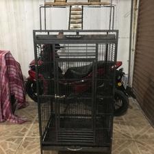 قفس بزرگ یا آرایی