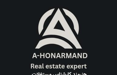 میرداماد 175 متر باز سازی شده